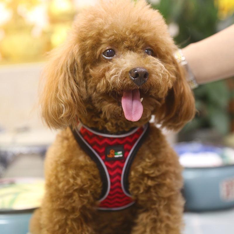 Reflective Pet Harness With Leash