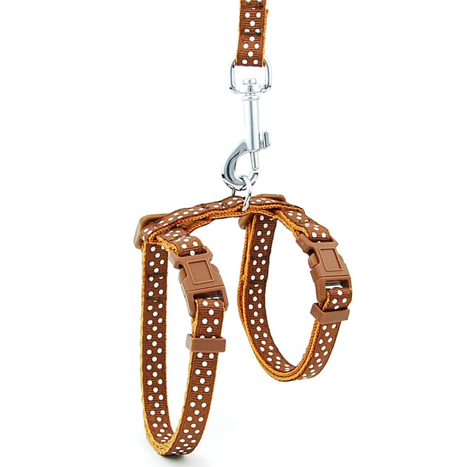 Escape-Proof Cat Leash: Secure Your Feline Friend With Confidence