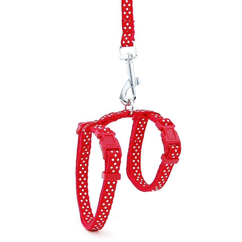Escape-Proof Cat Leash: Secure Your Feline Friend With Confidence