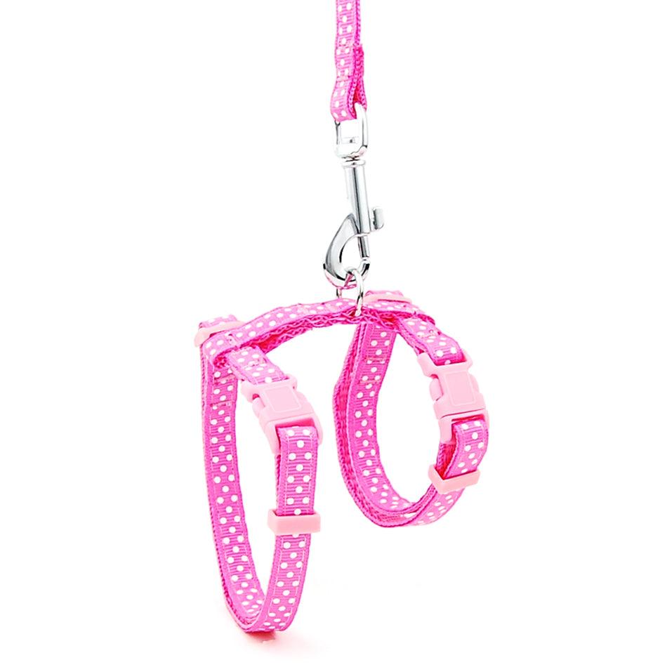 Escape-Proof Cat Leash: Secure Your Feline Friend With Confidence