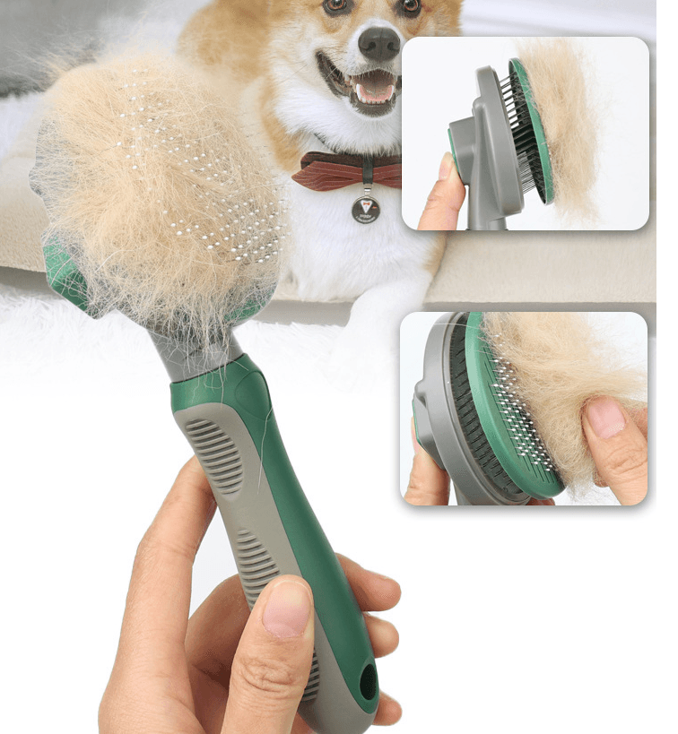 Pet Hair Remover Brush