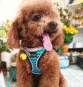 Reflective Pet Harness With Leash