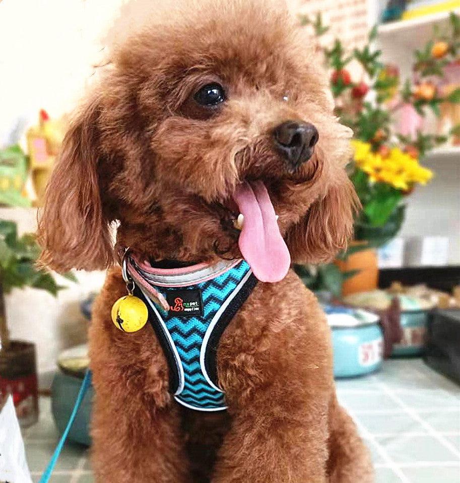 Reflective Pet Harness With Leash