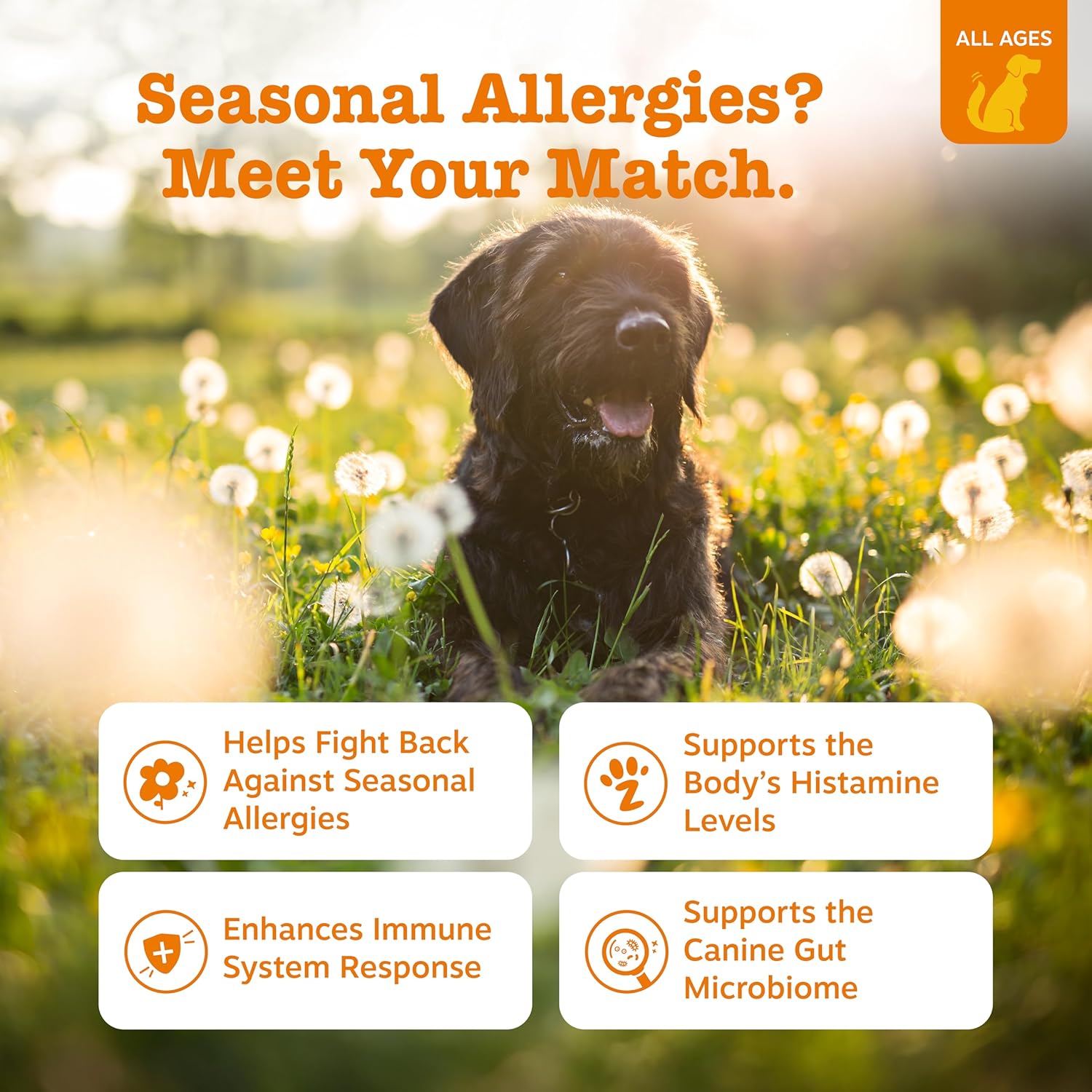 CalmGuard Allergy Chews